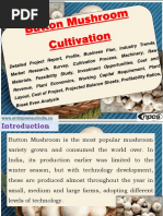 Download Button Mushroom Cultivation Detailed Project Report Profile Business Plan Industry Trends Market Research Survey Cultivation Process Machinery Raw Materials Feasibility Study Investment Opportunities Cost and Revenue Plant Economics Working Capital Requirement Plant Layout Cost of Project Projected Balance Sheets Profitability Ratios Break Even Analysis by Ajay Gupta SN350724142 doc pdf