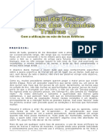 Manual+da+grande+traira+versão29.01.07v8.pdf