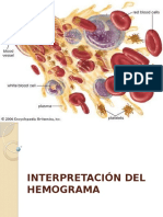 Clase 05 - Interpretación Del Hemograma