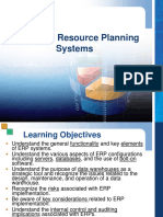 Enterprise Resource Planning Systems