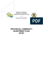 Benguet PCIP