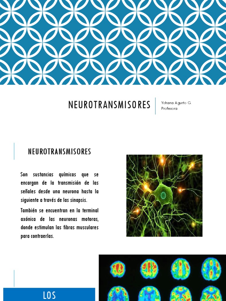 Neuro Transm I Sores | PDF | Serotonina | Dopamina