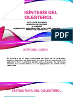 Biosíntesis Del Colesterol