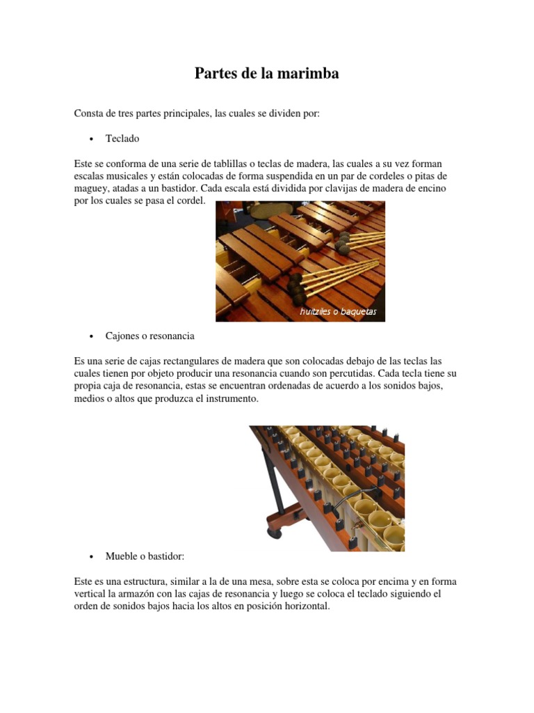 Partes de La Marimba PDF