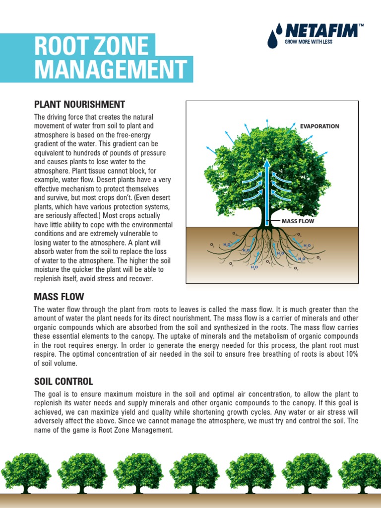 Smart Root Zone Management Techniques | PDF | Soil | Irrigation