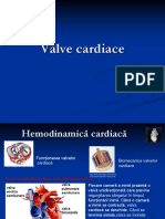 Valve Cardiace