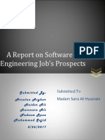 Software Engineering Jobs Prospects (Report Writing) 