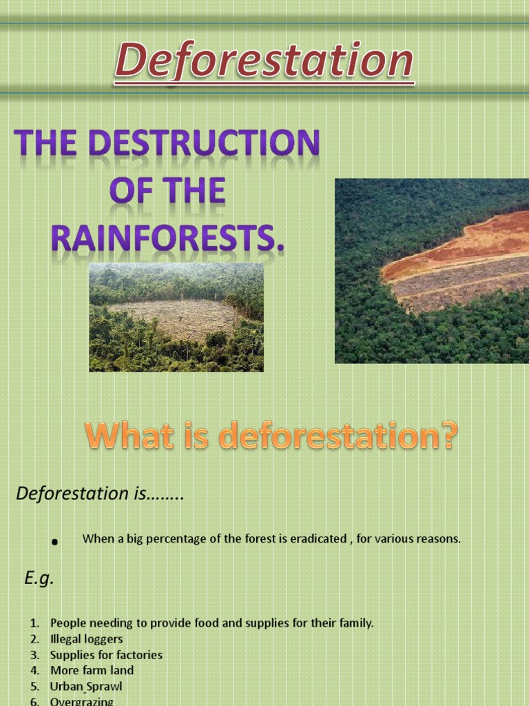 deforestation-power-point-presentation-fiona-deforestation-rainforest