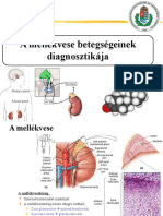 09 Mellekvesegyakorlat