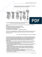 Lista Exercicios Kapa