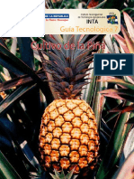 Guia Pina PDF