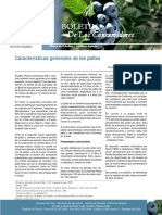 Boletin de Caracteristicas de Palta PDF