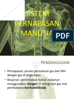 Dinda Sistem Pernafasan