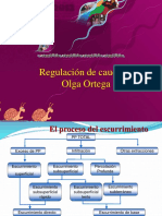 Clase de Regulacion de Caudales