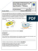 Avaliacao Somativa 1 Bi PDF