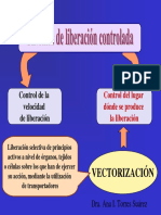 Vectorizacion PDF