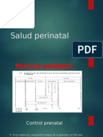 Salud Perinatal