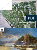 Sistema Vertical de Cultivos Diapositivas PDF