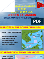 China Expansion FINAL REPORT