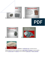 Sedimentary Rock Coral Forams Molluscs Minerals Calcite Aragonite Crystal Forms Calcium Carbonate