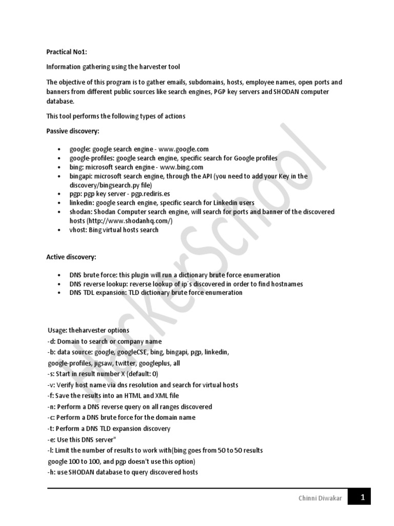 Information Gathering Techniques | PDF | Domain Name System | File Format