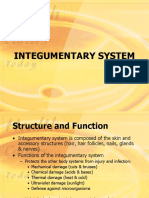 INTEGUMENTARY SYSTEM STRUCTURE AND FUNCTION
