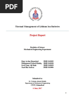 Thermal Management of Lithium Ion Batteries