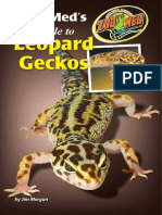 Leopard Gecko Guide