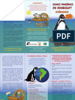 ACOREMA-MF04-Pinguino