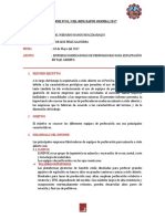 Informe Nº 01