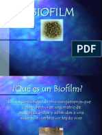 BIOFILm Actual