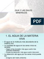 agua-y-sales-minerales.pptx