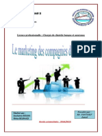 268741779-Le-Marketing-Des-Assurances.docx