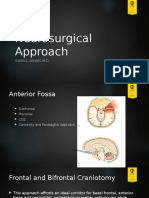 Neurosurgical Approach - Final
