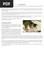 5 Contoh Text Descriptive Tentang Kucing Dalam Bahasa Inggris Beserta ...