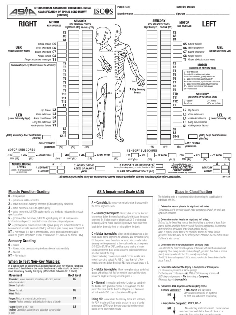 ASIA Spinal Cord Injury Classification | PDF | Dance Science ...