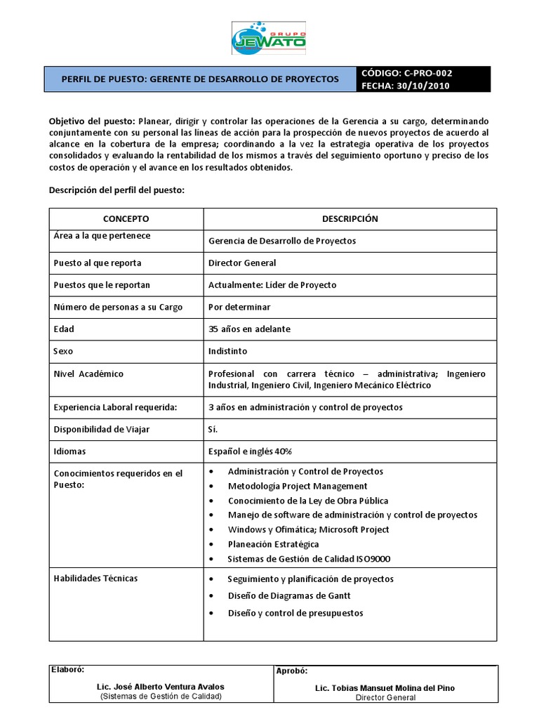 Perfil Del Puesto de Gerente de