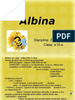 Albina