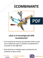 ADN RECOMBINANTE.pptx