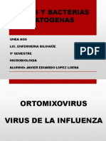 Virus y bacterias patógenas