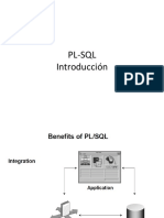 Curso PLSQL I