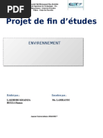 Rapport de stage 2017.docx