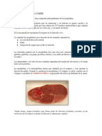 Pigmentos de La Carne PDF