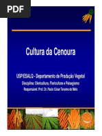 Aula_Cenoura_Hortica_2012 - 1.pdf