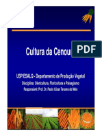 Aula - Cenoura - Hortica - 2012 - 1 PDF