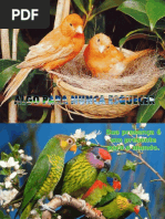 Algo Para Nunca Esquecer