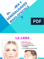 01 - Anatomia y Generalidades Maxilofaciales