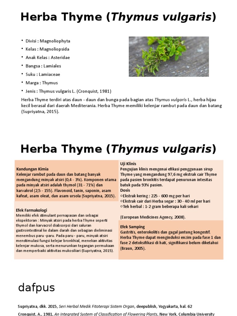 Herba Thyme (Thymus Vulgaris) PDF