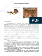 141464856-Plan-Afaceri-Ferma-de-Prepelite.doc