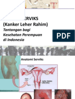 Kanker Serviks & Permasalahannya PDF